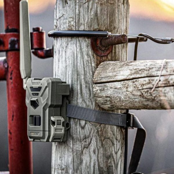 SPYPOINT FLEX-M Wildkamera am Zaunpfahl montiert im Freien