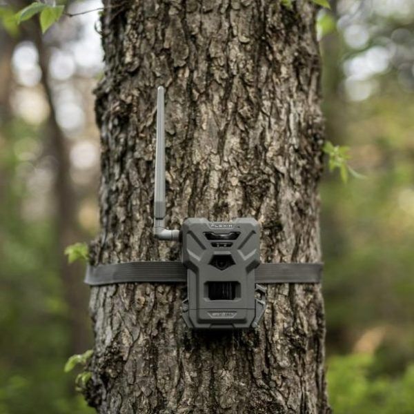 SPYPOINT FLEX-M Wildkamera am Baum im Wald montiert
