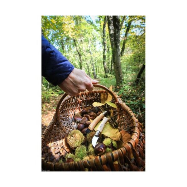 Opinel No 07 Kastanienmesser Ansicht 4 bei Survivalfreunde.de