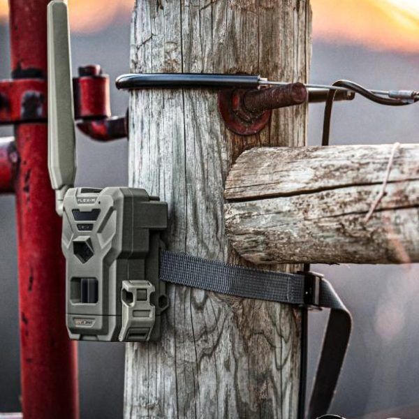 SPYPOINT FLEX-M 4er Set Wildkamera am Zaunpfahl bei Sonnenuntergang