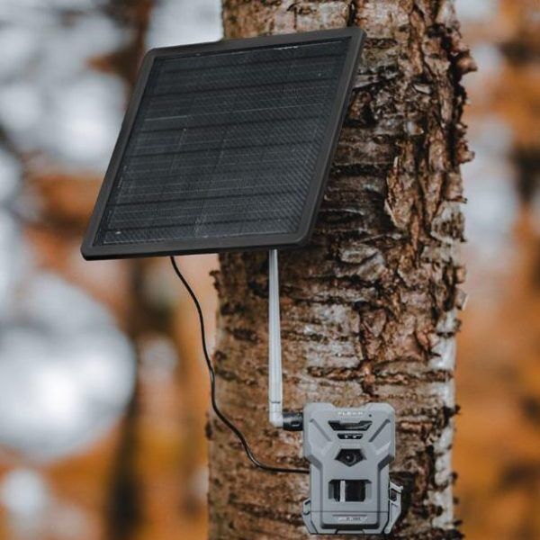 SPYPOINT FLEX-M mit SPLB-22 Solar-Powerbank an Birke im Herbst