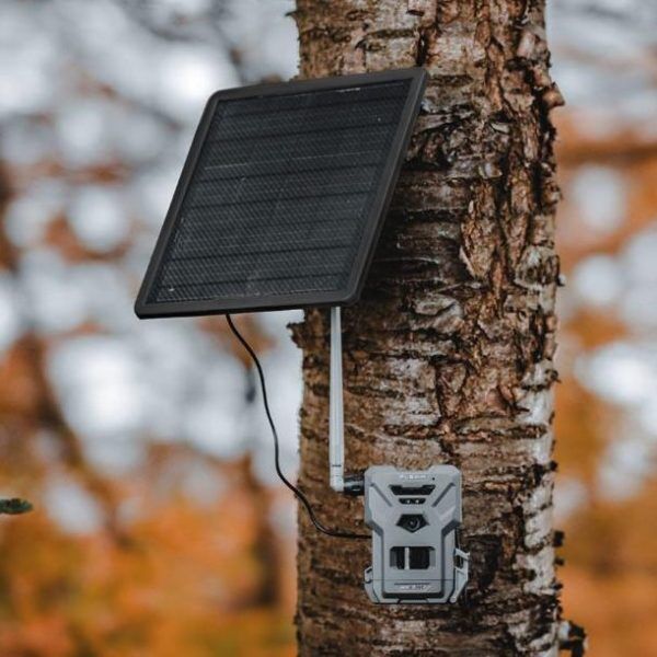 SPYPOINT FLEX-M Solar Bundle Wildkamera an Baumstamm – Frontansicht