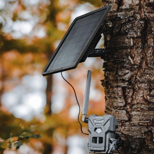 SPYPOINT FLEX-M Solar Bundle Wildkamera an Birke – Seitenansicht