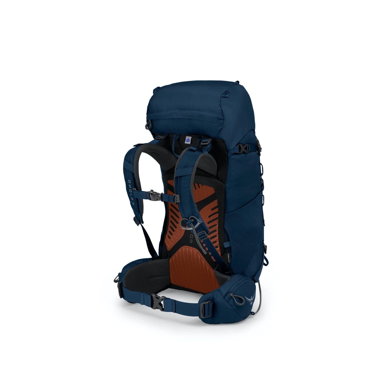 Osprey Kestrel 38l – Bild 2