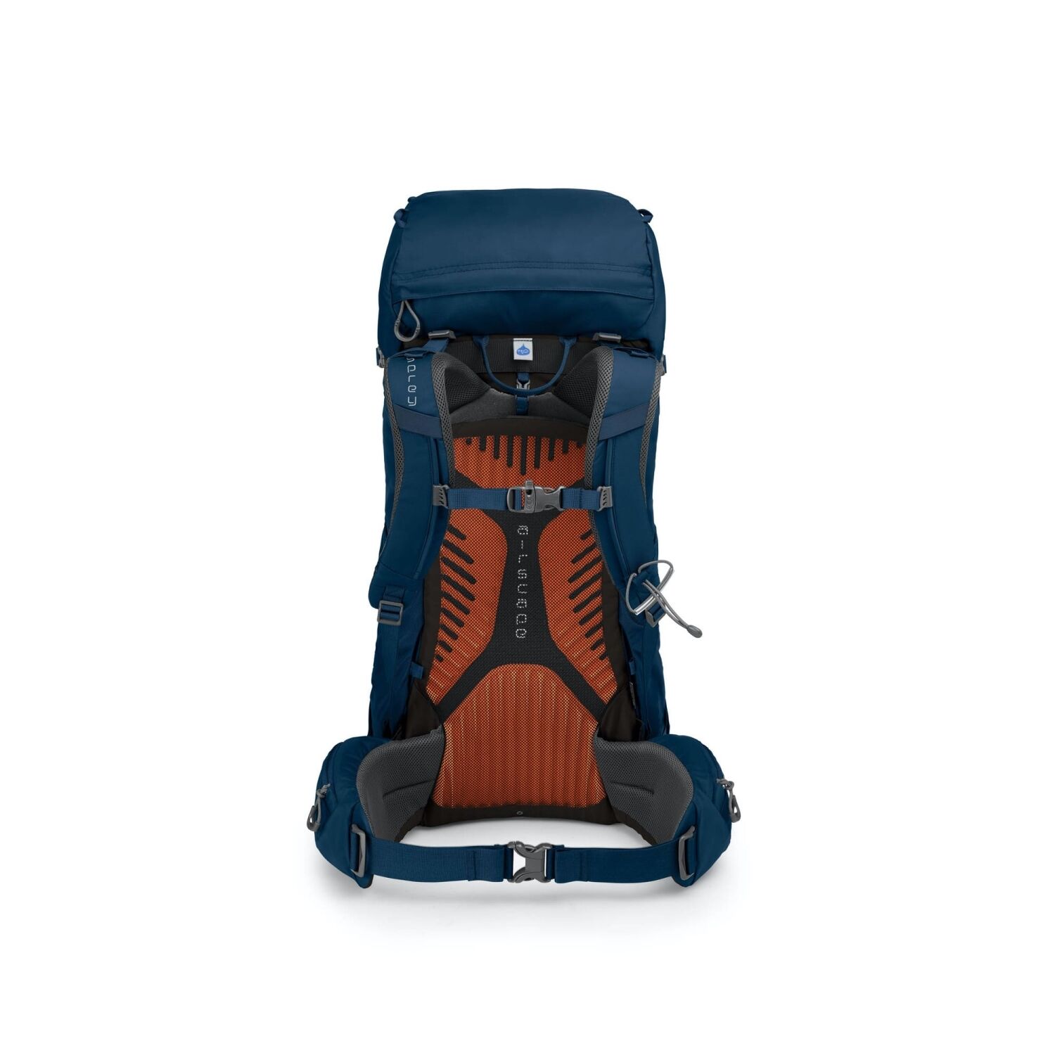 Osprey Kestrel 38l – Bild 3