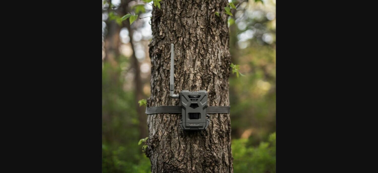 SPYPOINT FLEX-M Wildkamera an Baumstamm im Wald befestigt