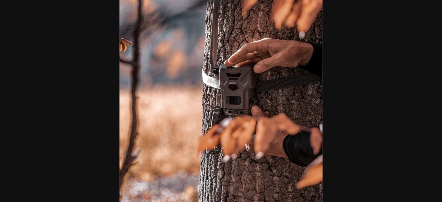 SPYPOINT FLEX-M TWIN-PACK Wildkamera wird am Baum angebracht