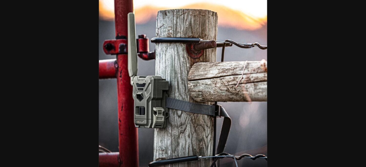 SPYPOINT FLEX-M 4er Set Wildkamera – Bild 8