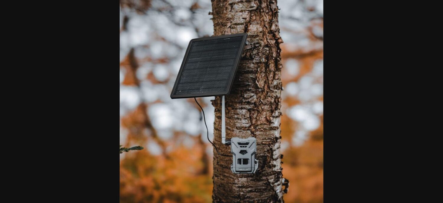 SPYPOINT FLEX-M Solar Bundle Wildkamera mit SPLB-22 – Bild 6